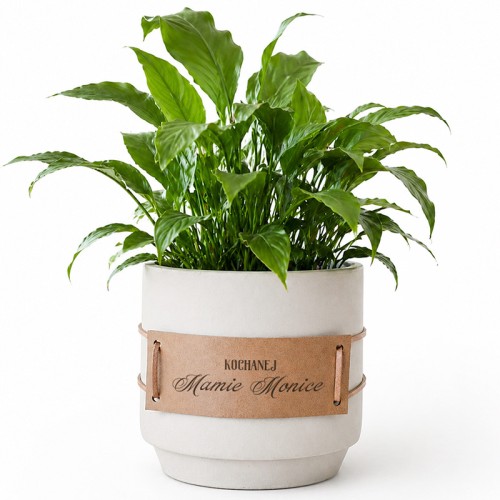 personalizowana doniczka dla mamy z dedykacją dekoracja wnętrza