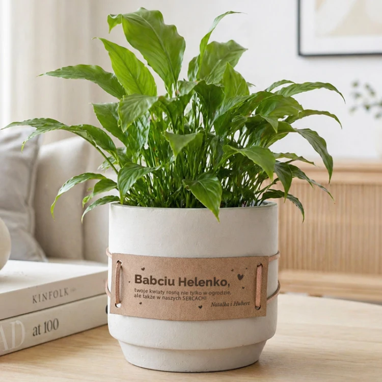 Ceramiczna personalizowana doniczka dla babci