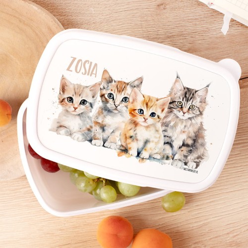 ŚNIADANIÓWKA z kotkami lunchbox dla dzieci