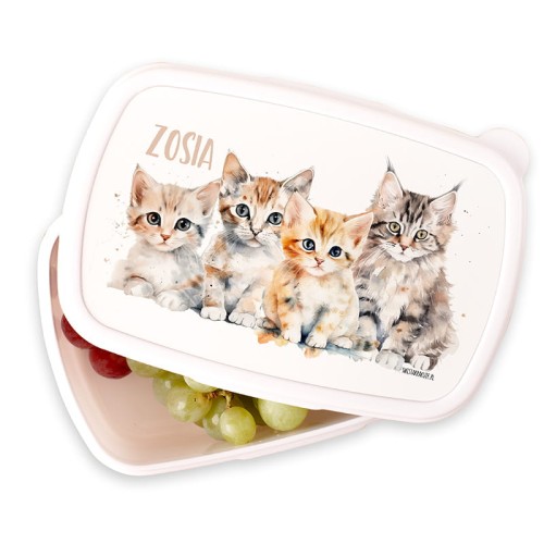 ŚNIADANIÓWKA z kotkami lunchbox dla dzieci